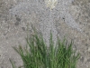 land-art-vg-19.JPG