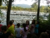 plavanje_catez_2012-1_03