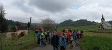 IMG_20171004_105948