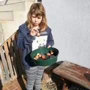 spoznavanje-jeseni-opb-06