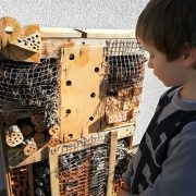 spoznavanje-jeseni-opb-07