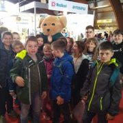 IMG_20190316_131645668